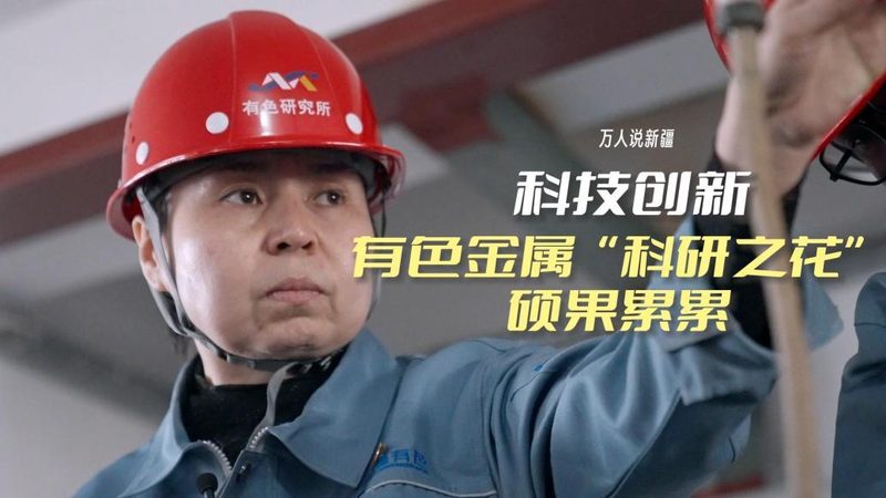屋顶与地下室的“隐形护甲”：不同防水卷材如何选对